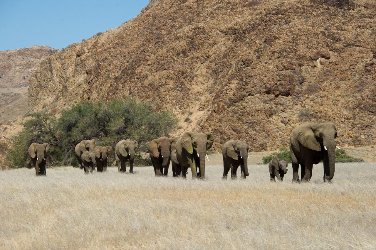 Twyfelfontein Wilderness Safaris Doro Nawas 빌라 외부 사진