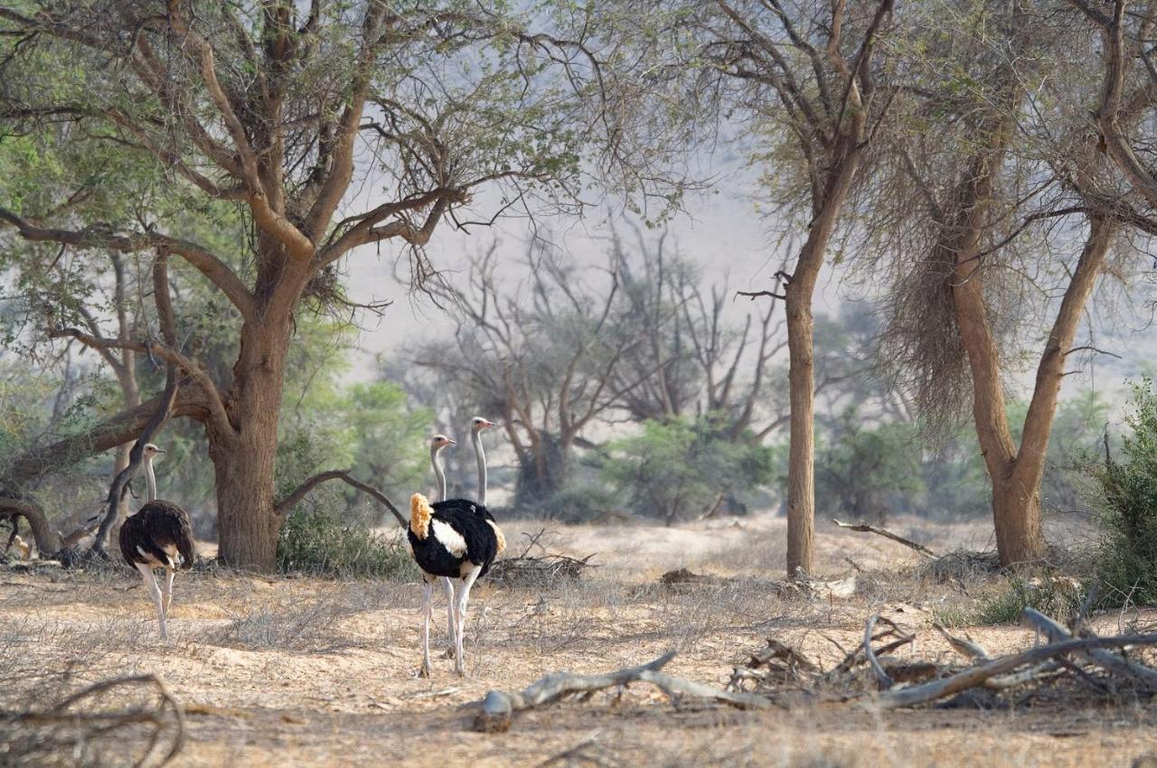 Twyfelfontein Wilderness Safaris Doro Nawas 빌라 외부 사진